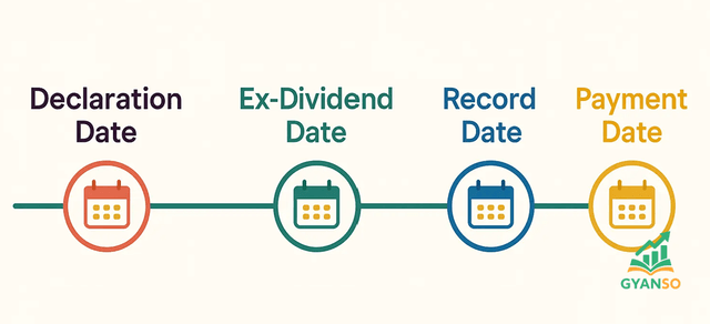 Dividend Timeline showing Declaration Date, Ex-Date, Record Date, and Payment Date.